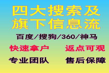 SEM推广代运营：成功案例解析与策略分享